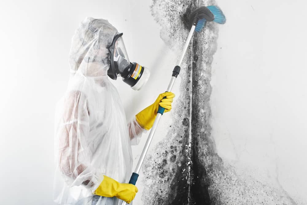 Mold removal is necessary for mold bigger than 3x3.