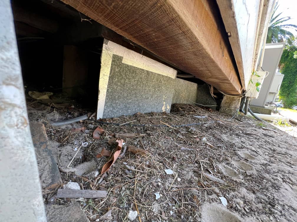 Hire a professional to clean out your crawl space.