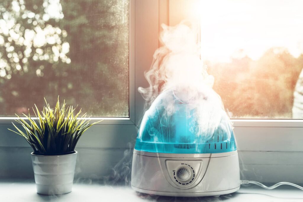 A classic stand-alone humidifier can cause mold to grow.